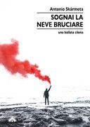 Sognai la neve bruciare. Una ballata cilena